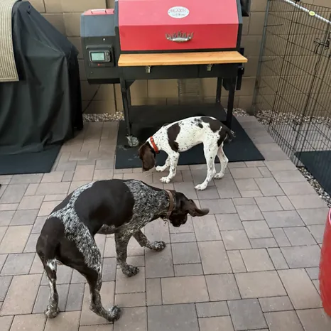 Remi & Bobby Ray! 