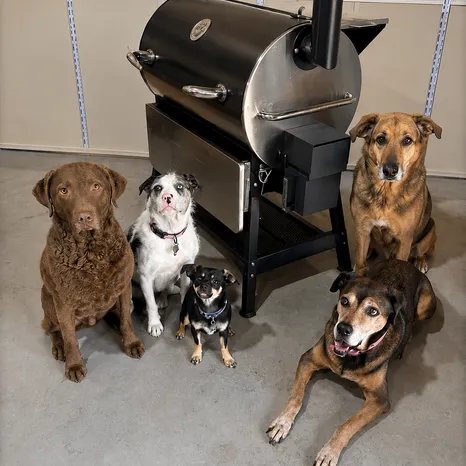 Frank’s Crew! (L to R): Jedrick, Lacie, Pico, Steadie & Gunner!