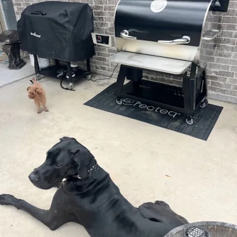 Max & Luna!