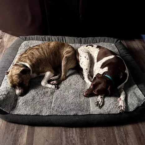Rosie & Ruby!
