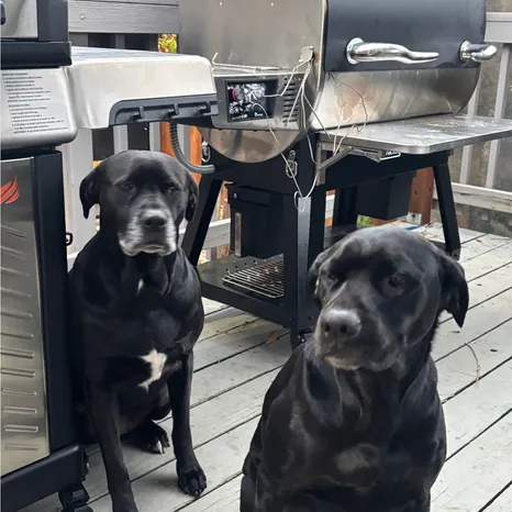 Double trouble!