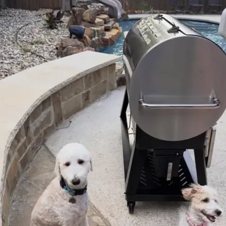 Roxy & Wrigley!