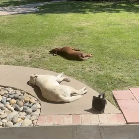 Dutton & Bear! 