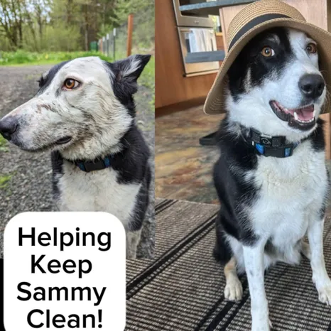 Sammy!