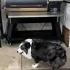 Tucker!