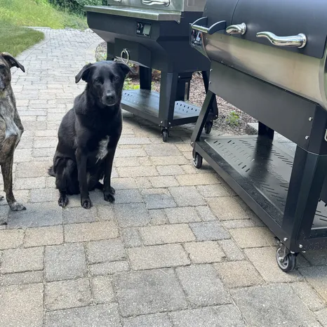 Susie & Penny! 