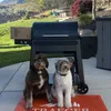 Bear & Odin! 