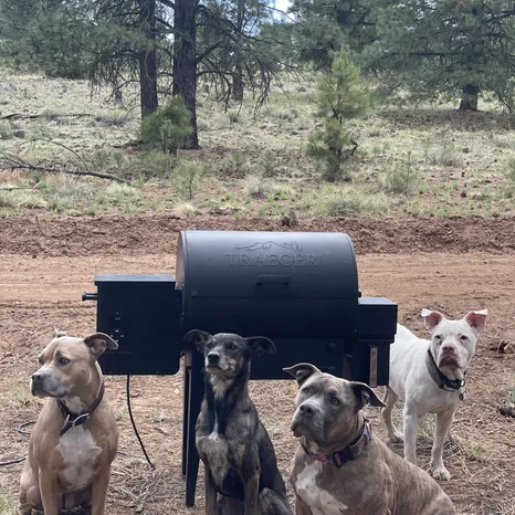 Gal “caca”, Sydney, Rousey, Nugget!